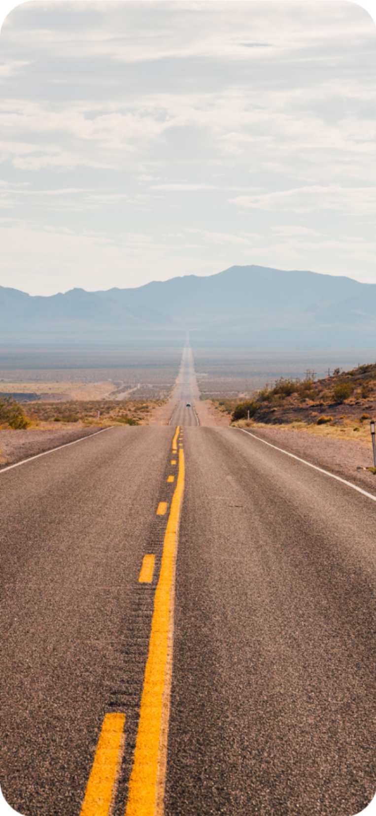 jpeg-optimizer_Specialized sectors-04